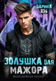 Золушка для мажора