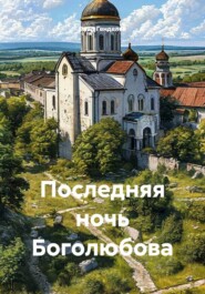 Последняя ночь Боголюбова