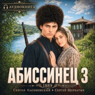 Абиссинец 1889. Том 3