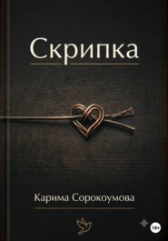 Скрипка