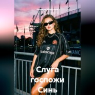 Слуга госпожи Синь