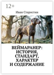 Веймаранер: История, стандарт, характер и содержание