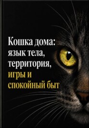 Кошка дома: язык тела, территория, игры и спокойный быт