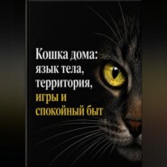 Кошка дома: язык тела, территория, игры и спокойный быт