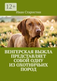 Венгерская выжла представляет собой одну из охотничьих пород