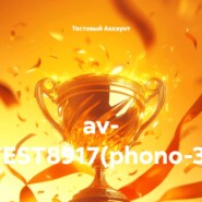 av- TEST8917(phono-3)