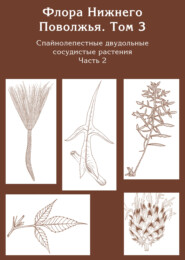Флора Нижнего Поволжья. Том 3. Часть2. Спайнолепестные двудольные сосудистые растения (Asteraceae). Дополнения к предыдущим томам