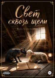 Свет сквозь щели