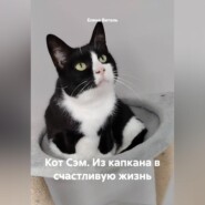 Кот Сэм: Из капкана в счастливую жизнь