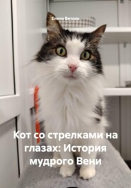 Кот со стрелками на глазах: История мудрого Вени