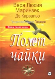 Полет чайки