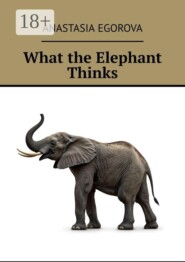 What the Elephant Thinks