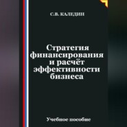 Стратегия финансирования и расчёт эффективности бизнеса