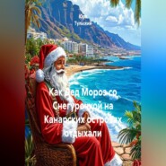 Как Дед Мороз со Снегурочкой на Канарских островах отдыхали