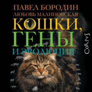 Кошки, гены и эволюция