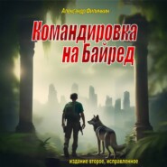 Командировка на Байред (издание второе, исправленное)