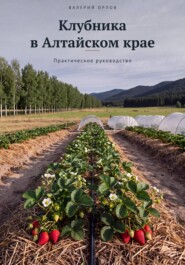 Клубника в Алтайском крае. Практическое руководство