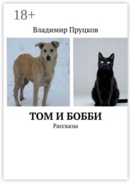 Том и Бобби. Рассказы
