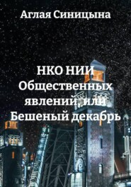 НКО НИИ Общественных явлений, или Бешеный декабрь