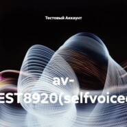 av- TEST8920(selfvoiced)