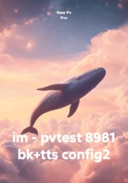 im - pvtest 8981 bk+tts config2