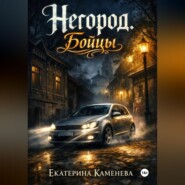 Негород. Бойцы