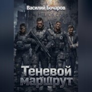 Теневой маршрут