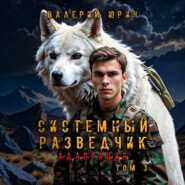 Системный разведчик. Адаптация. Том 3