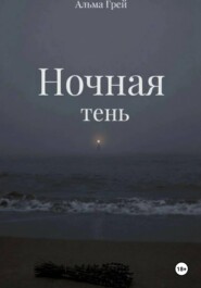Ночная тень