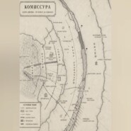 Камбий