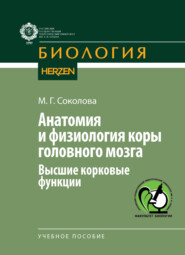 Анатомия и физиология коры головного мозга. Высшие корковые функции
