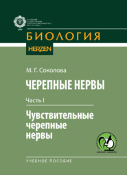 Черепные нервы. Часть I. Чувствительные черепные нервы