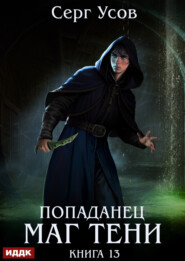 Попаданец. Маг Тени. Книга 13