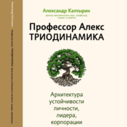 Профессор Алекс. Триодинамика. Архитектура устойчивости личности, лидера и корпорации