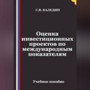 Оценка инвестиционных проектов по международным показателям