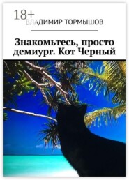 Знакомьтесь, просто демиург. Кот Черный
