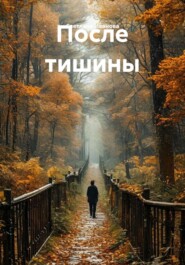 После тишины