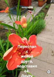 Переспал с женой друга, подставил её. Другу дочку подсунул без её ведома. Зависть одолевала.