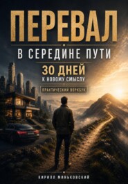 Перевал в середине пути 30 дней к новому смыслу. Практический воркбук для тех, у кого всё вроде есть, но прежняя жизнь больше не радует