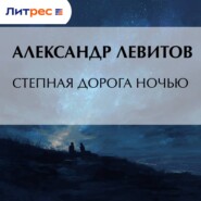 Степная дорога ночью