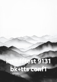im - fftest 9131 bk+tts conf1