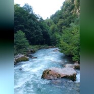 Вестар Хольт. Хроники мечника