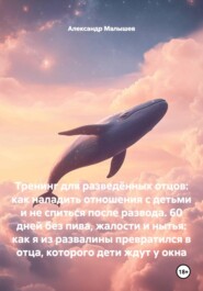 Тренинг для разведённых отцов: как наладить отношения с детьми и не спиться после развода. 60 дней без пива, жалости и нытья: как я из развалины превратился в отца, которого дети ждут у окна