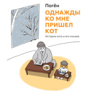 Однажды ко мне пришел кот. История кота и его монаха