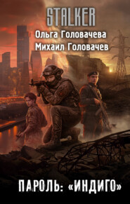Пароль: «Индиго»