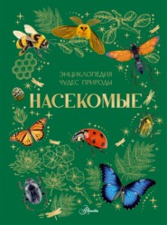 Насекомые