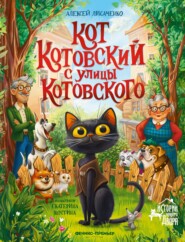 Кот Котовский с улицы Котовского