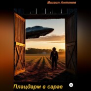 Плацдарм в сарае
