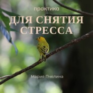 Практика для снятия стресса