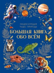 Большая книга обо всём